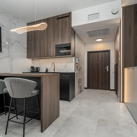 Hanza Tower Sky Lux 17th Floor * 什切青